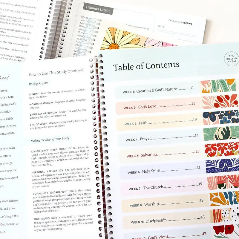 The Bible In A Year: A 52-Week Journey